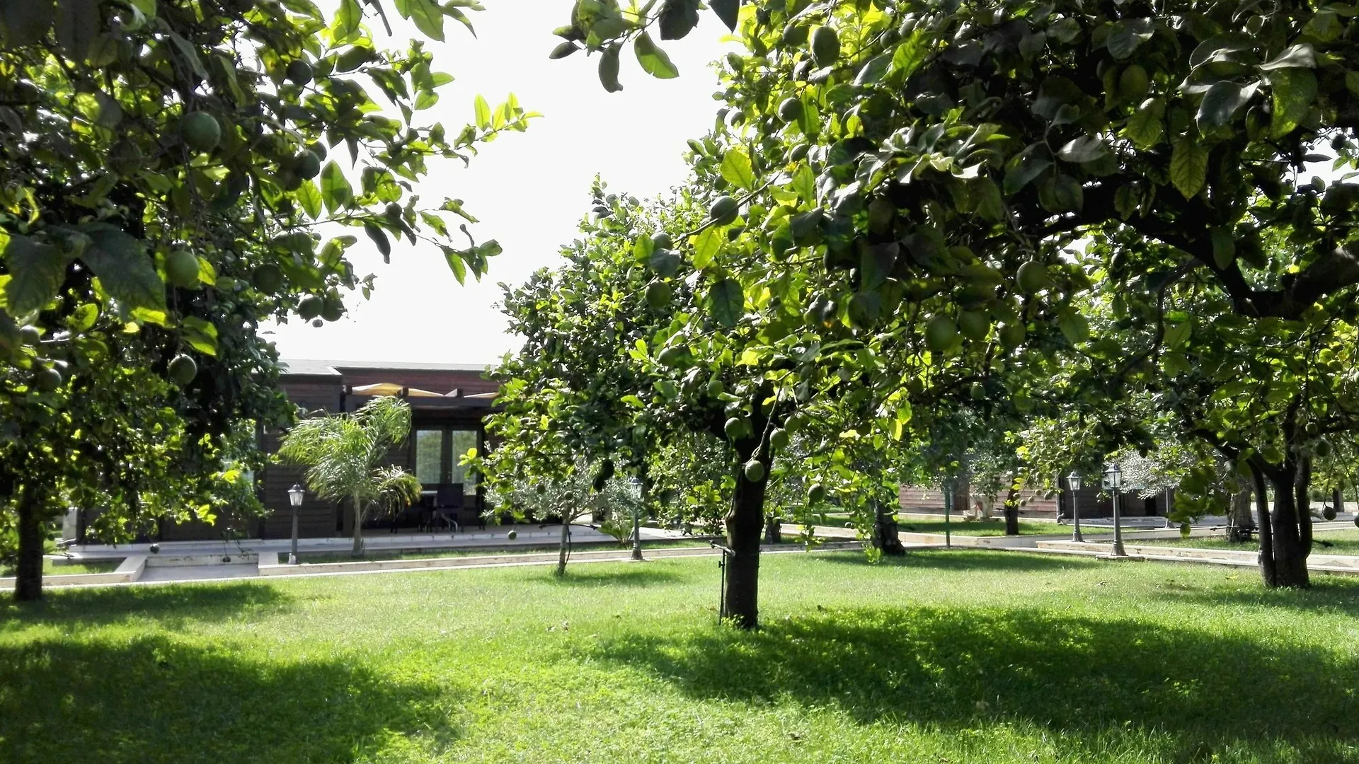 Agriturismo Terra Dei Limoni location